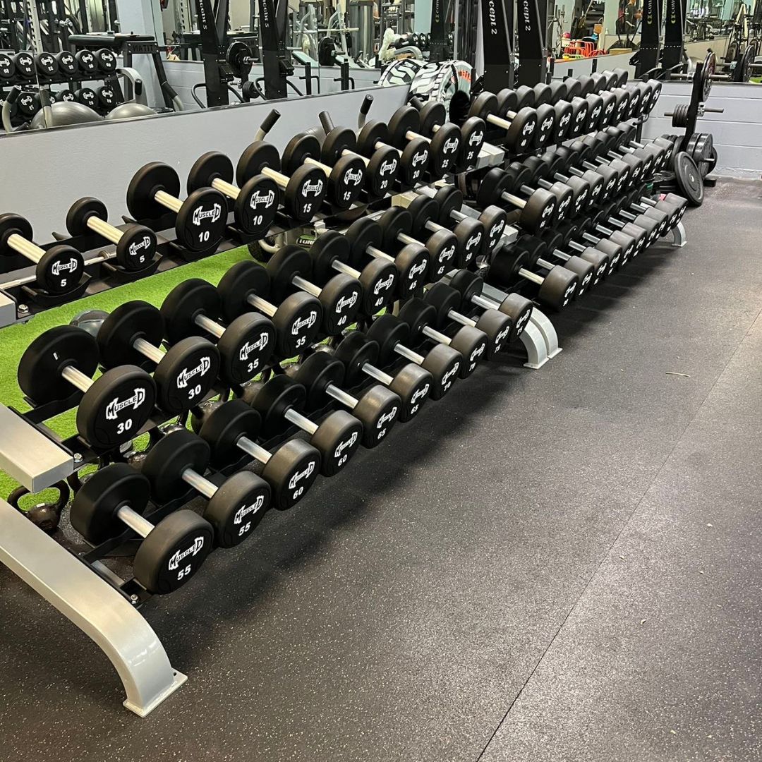 Rows of black urethane dumbbells with white weight numbers on a gym rack.