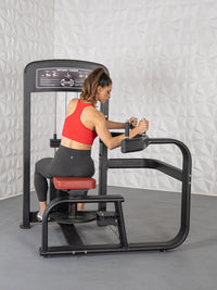 Thumbnail for Elite Selectorized Rotary Torso - Muscle D Fitness - Commercial - Adjustable Seat - Pin Selectorized Stack - Oblique Trainer