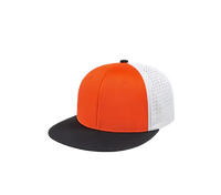 Thumbnail for PERFORATED PERFORMANCE CAP