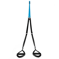 Thumbnail for BC Strength Suspension System bodyweight training straps with door anchor