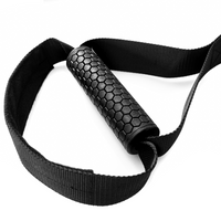 Thumbnail for BC Strength Suspension System bodyweight training straps with door anchor