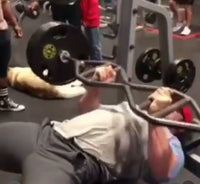 Thumbnail for Person bench pressing a multi-grip barbell with Olympic plates in a gym.