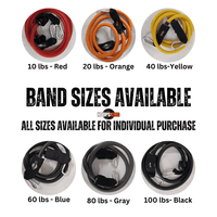 Thumbnail for Vertical Blitz resistance bands including the 10 lb red band