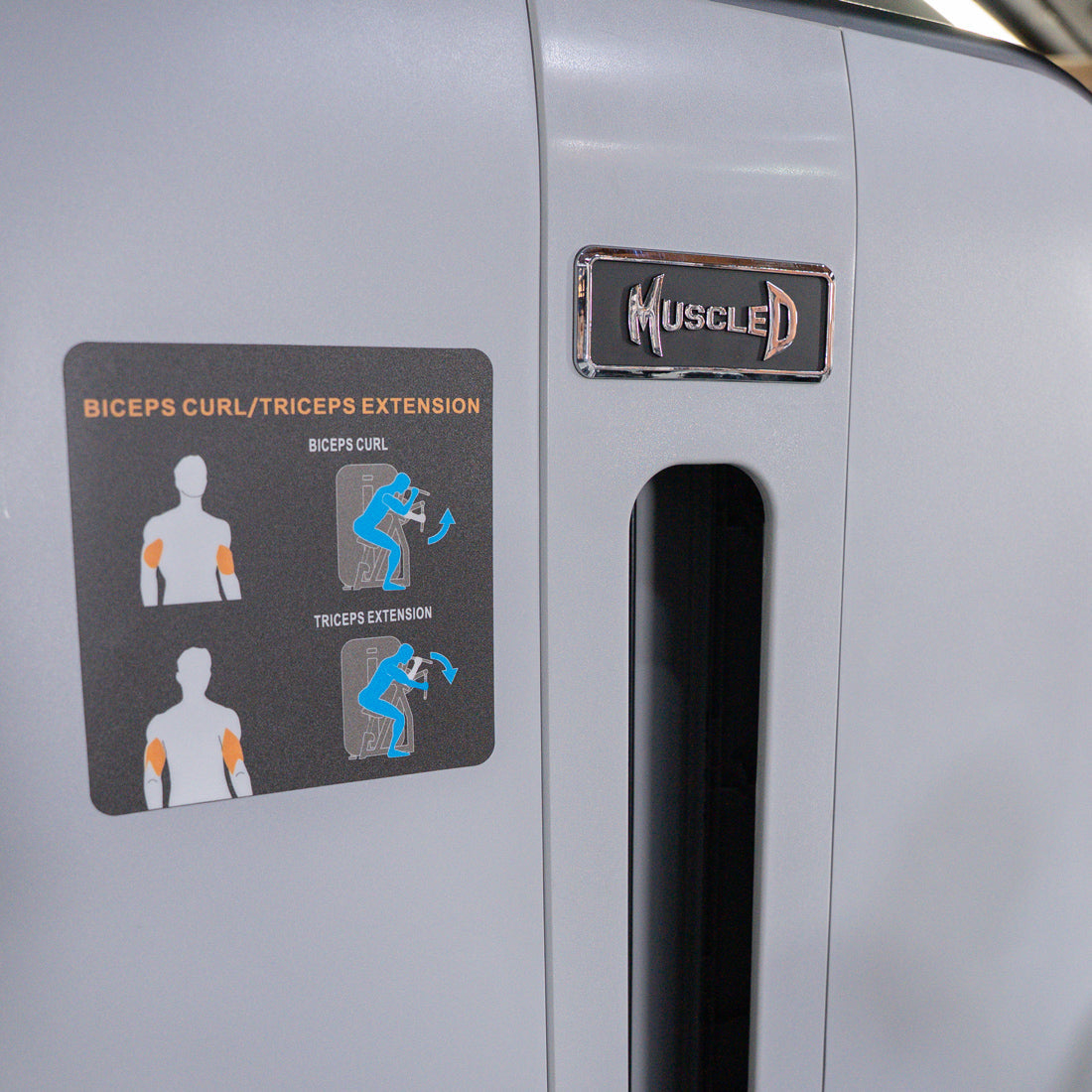Close-up of a "MUSCLED" brand gym machine with biceps curl/triceps extension exercise instructions.