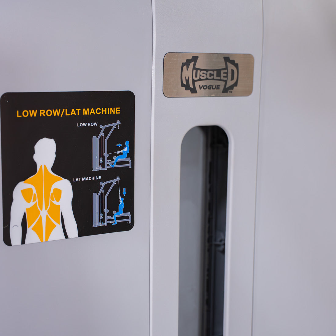 Close-up of a Muscle D Fitness "Vogue" Lat/Low Row machine with exercise diagrams and muscle group illustration.