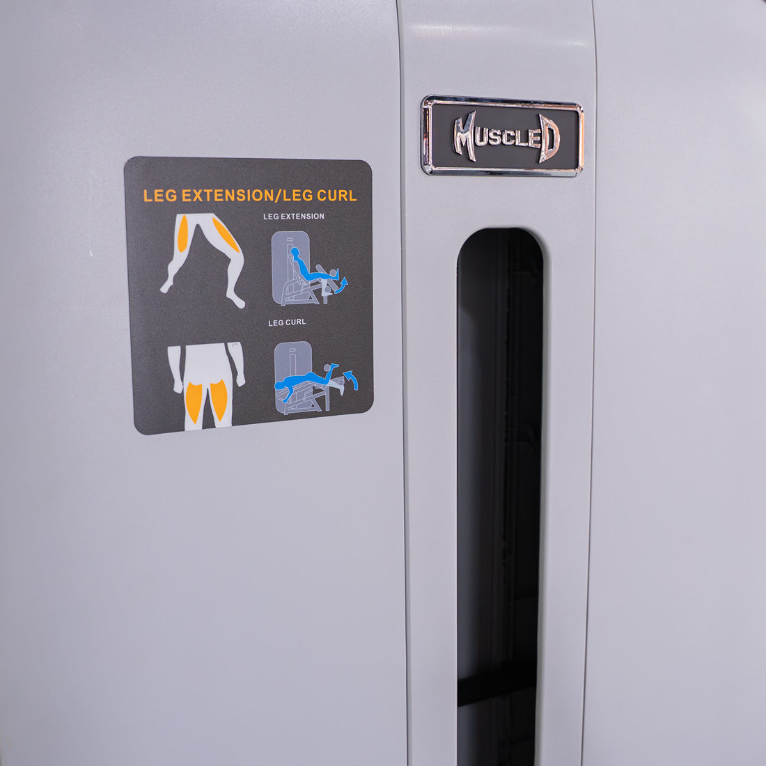 Vogue Leg Extension/Prone Leg Curl Combo - Muscle D Fitness - Seated - Adjustable - Pin Selectorized - Quads Hamstring Machine