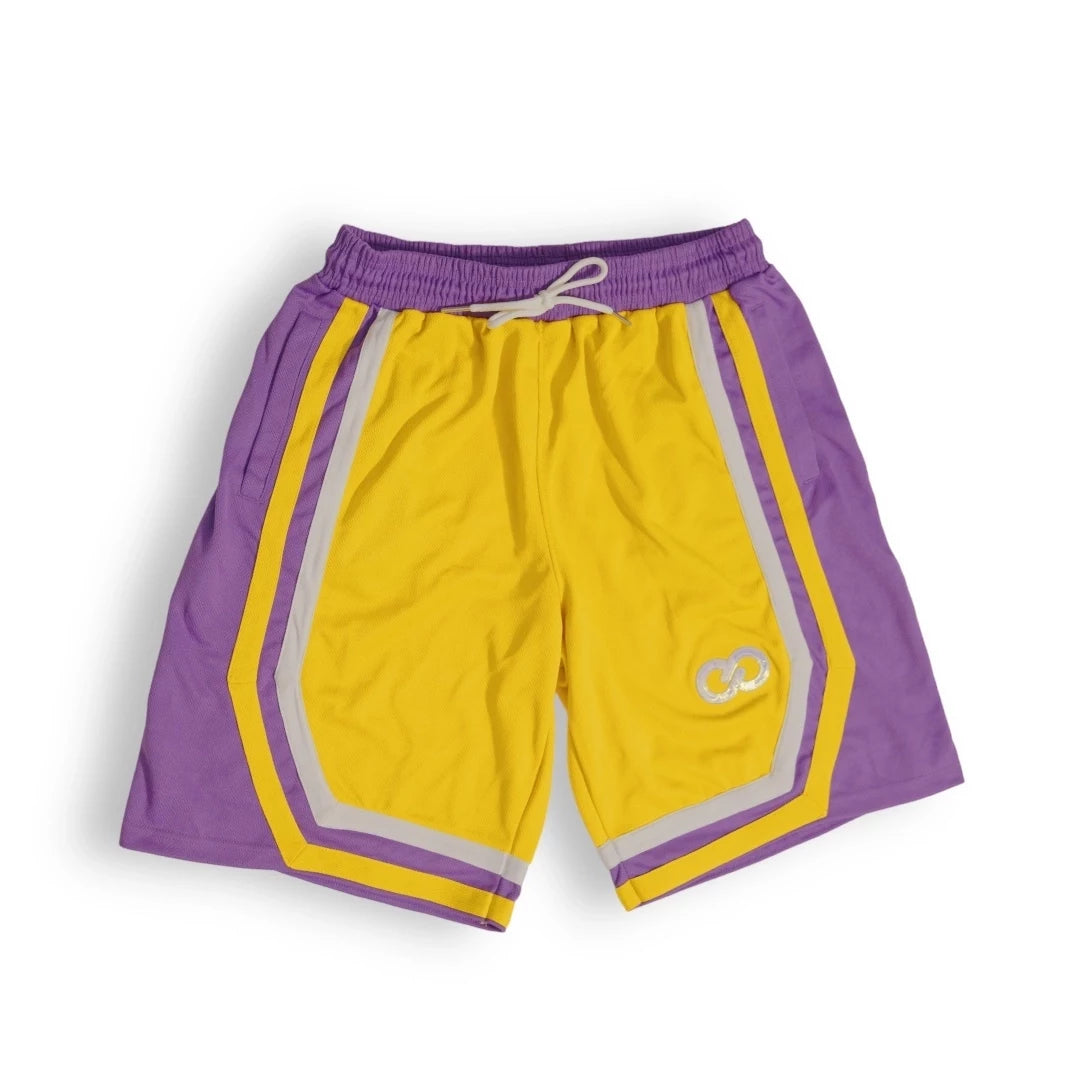 Pro Basketball Shorts