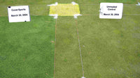 Thumbnail for Penn State University research study comparing putting green turf covered with a CoverSports FieldSaver golf cover to an uncovered control plot on March 30, 2004, showing visibly greener healthier grass under the cover
