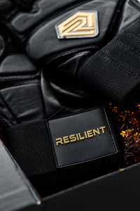Thumbnail for Excalibur Fastpitch Batting gloves - Black and Gold