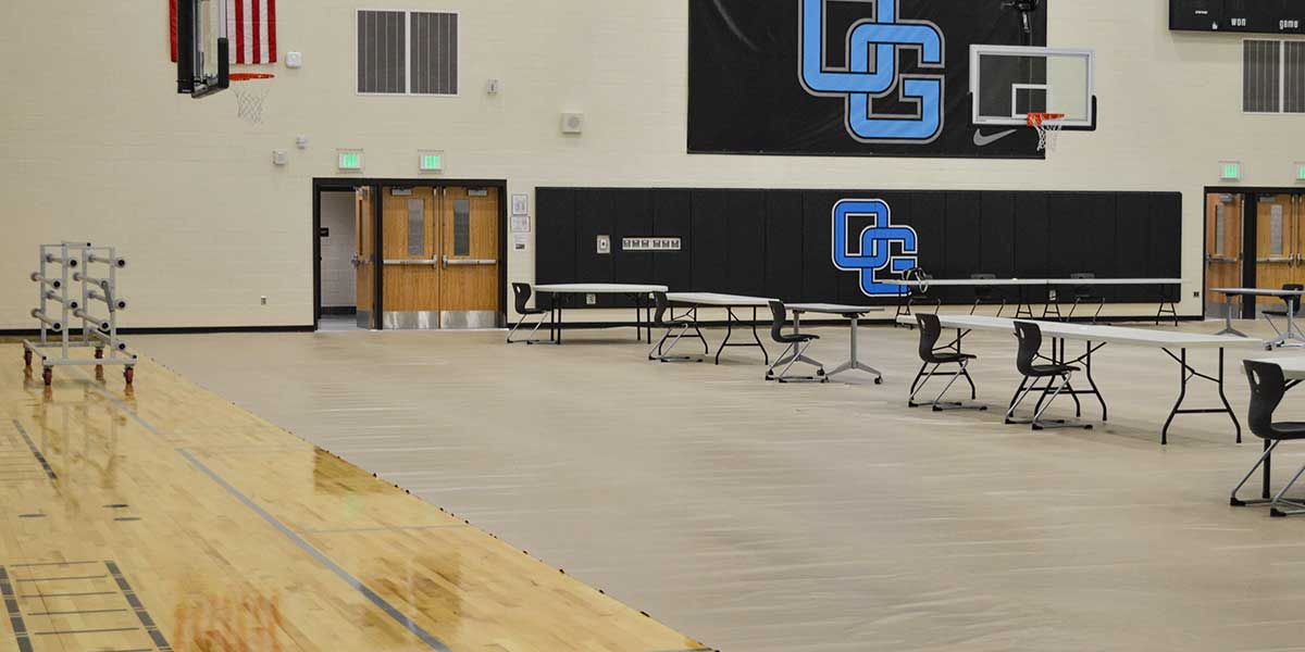 Gym Floor Covering | Vinyl