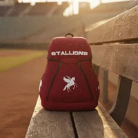 Hoopsking Personalized Custom Sublimated Sports Backpack for School Teams