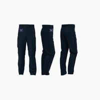 Thumbnail for Baseball Elite Pants – Men’s or Youth example 3
