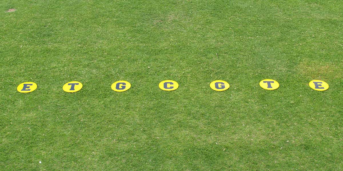 Football Line-Up Discs