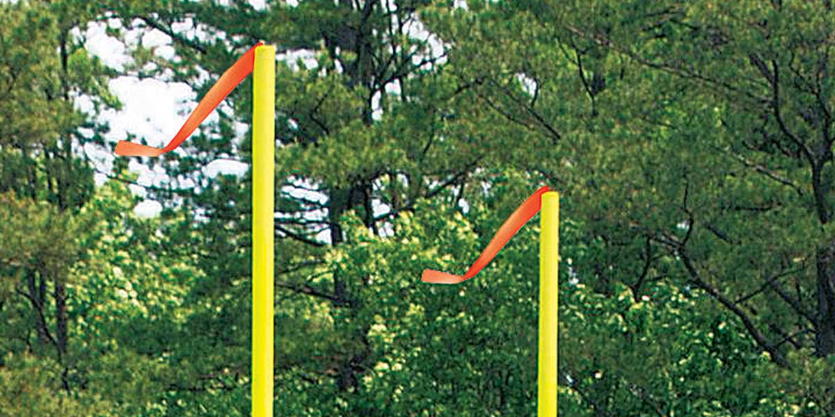 Deluxe Goal Post Windstreamer – 4" x 42"