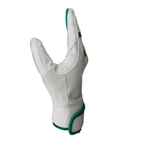 Thumbnail for Resilient Championship Fastpitch Batting gloves - White and Green